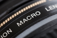 Gli obiettivi fotografici macro: le caratteristiche, come usarli e i migliori modelli in commercio