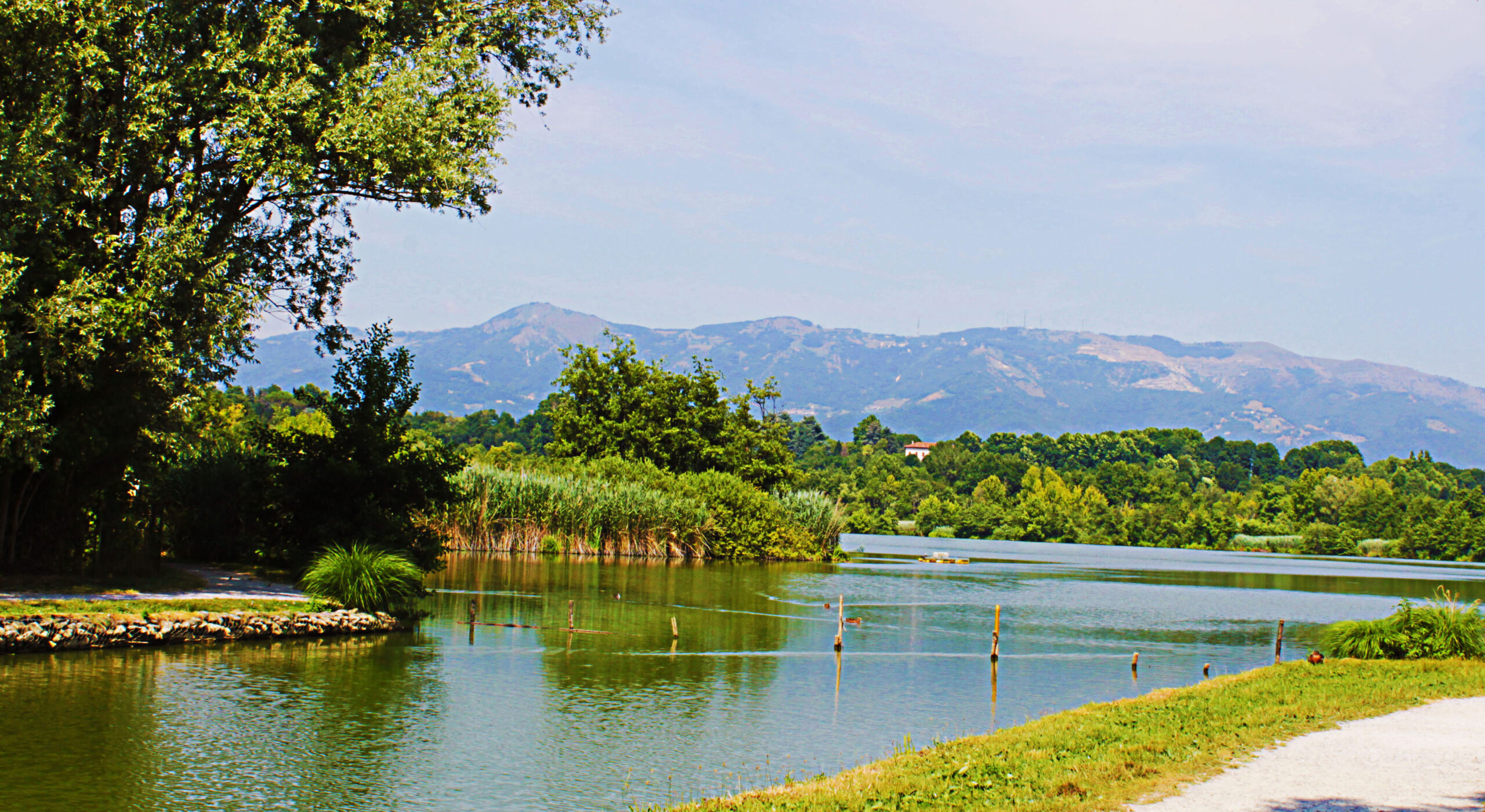 Lago di Sartirana – Merate (LC)
