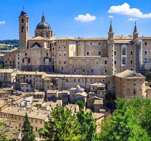 Urbino